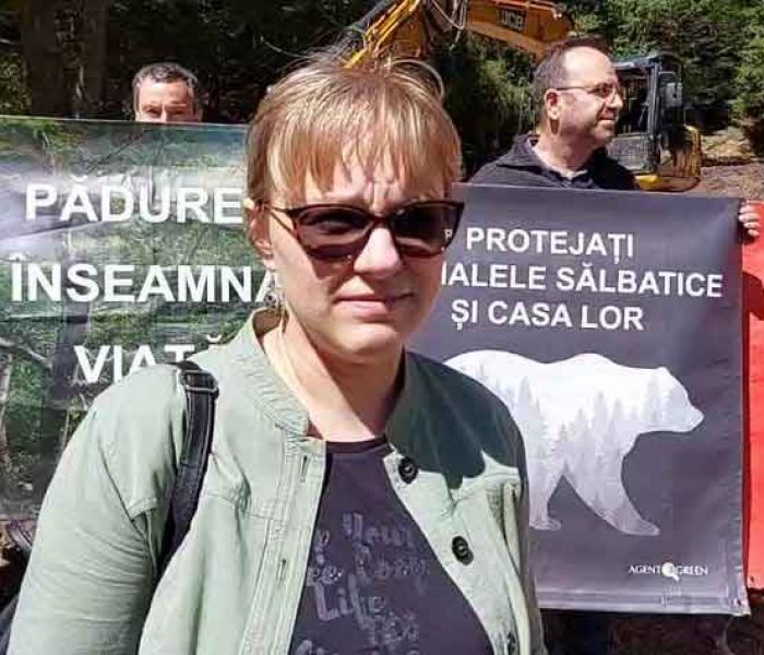 Protest în parcul natural Bucegi, Agent Green reclamă tăieri ilegale de pădure