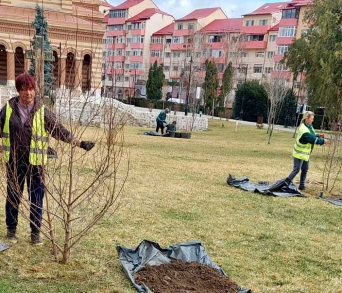 Târgovişte: Peste 1.000 de arbori vor fi plantaţi în municipiu