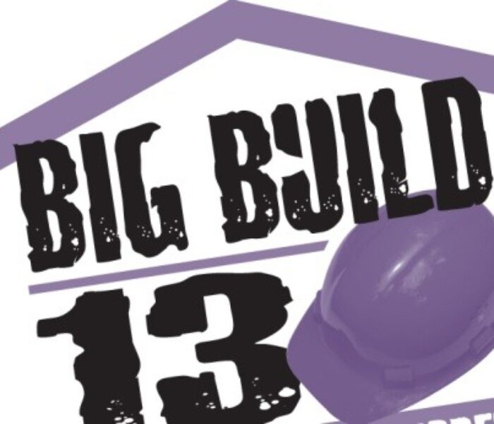 Big Build, eveniment prin care un ONG construieşte şi reabilitează mai multe obiective la Vizureşti