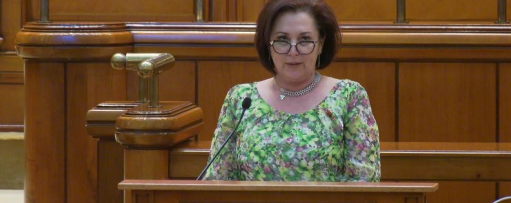 Carmen Holban, deputat PSD: Mai multe drepturi pentru tătici