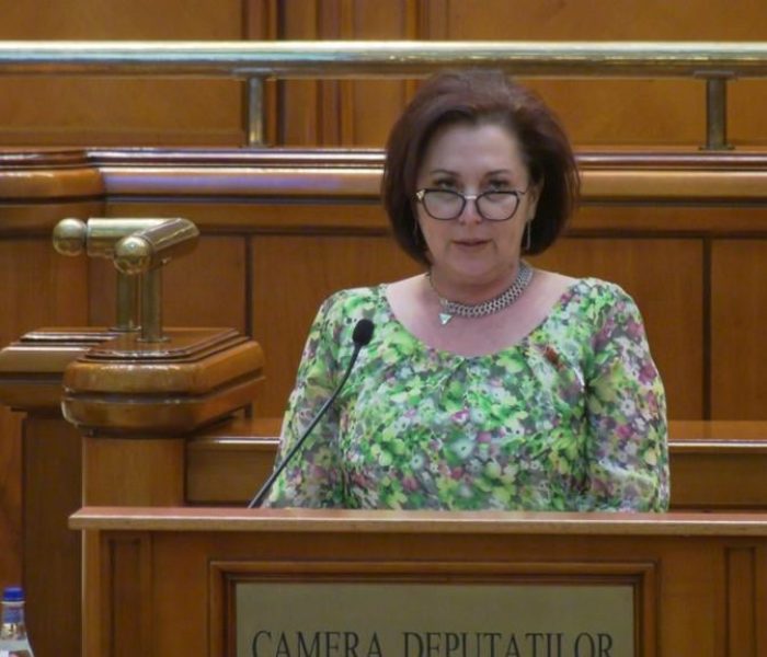 Carmen Holban, deputat PSD: PNRR, mai degrabă Planul Național de Amânare și Incompetență