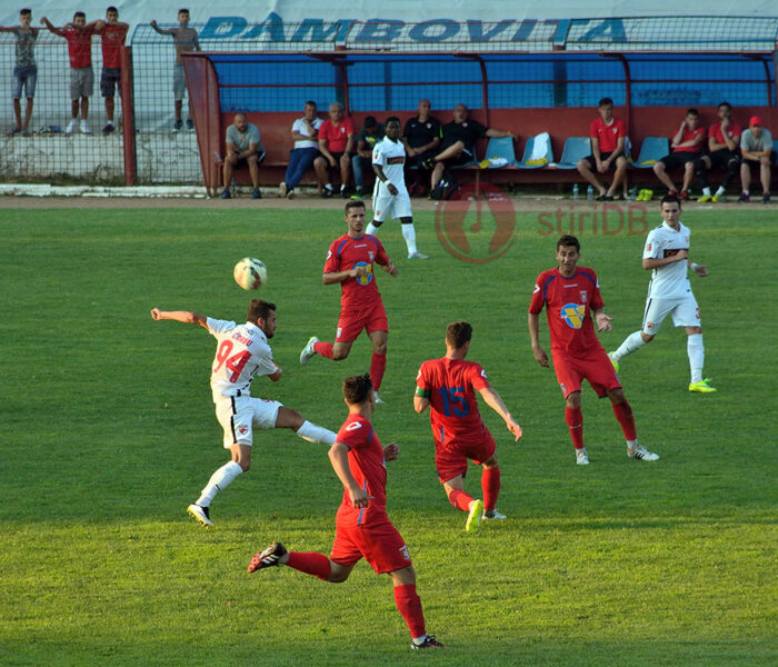 Fotbal: Chindia Târgovişte- Dinamo Bucureşti 1-2 (1-0), amical (foto)