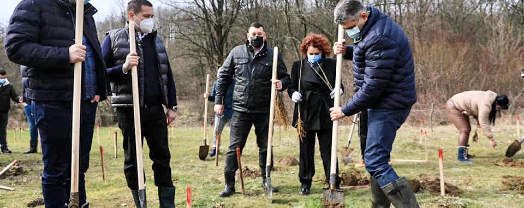 Marcel Ciolacu a plantat copaci în Dâmboviţa, de Ziua Internaţională a Pădurii