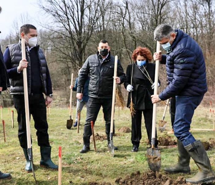 Marcel Ciolacu a plantat copaci în Dâmboviţa, de Ziua Internaţională a Pădurii