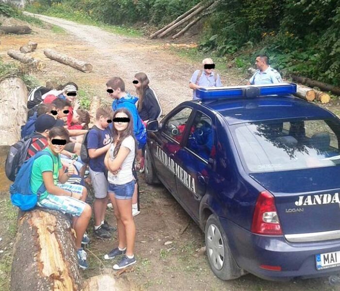 Grup de copii atacat de un roi de albine în zona Lespezi