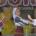 Festivalul ‘Rodica Bujor’, la Târgovişte (foto)