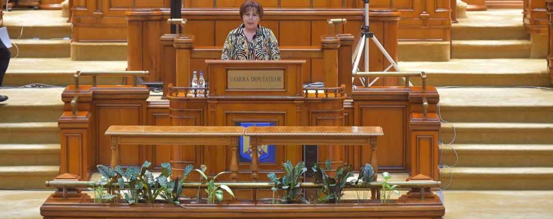 Carmen Holban, PSD: Ministrul Sănătății trebuie să-și dea demisia pentru incapacitatea de a gestiona criza sanitară!