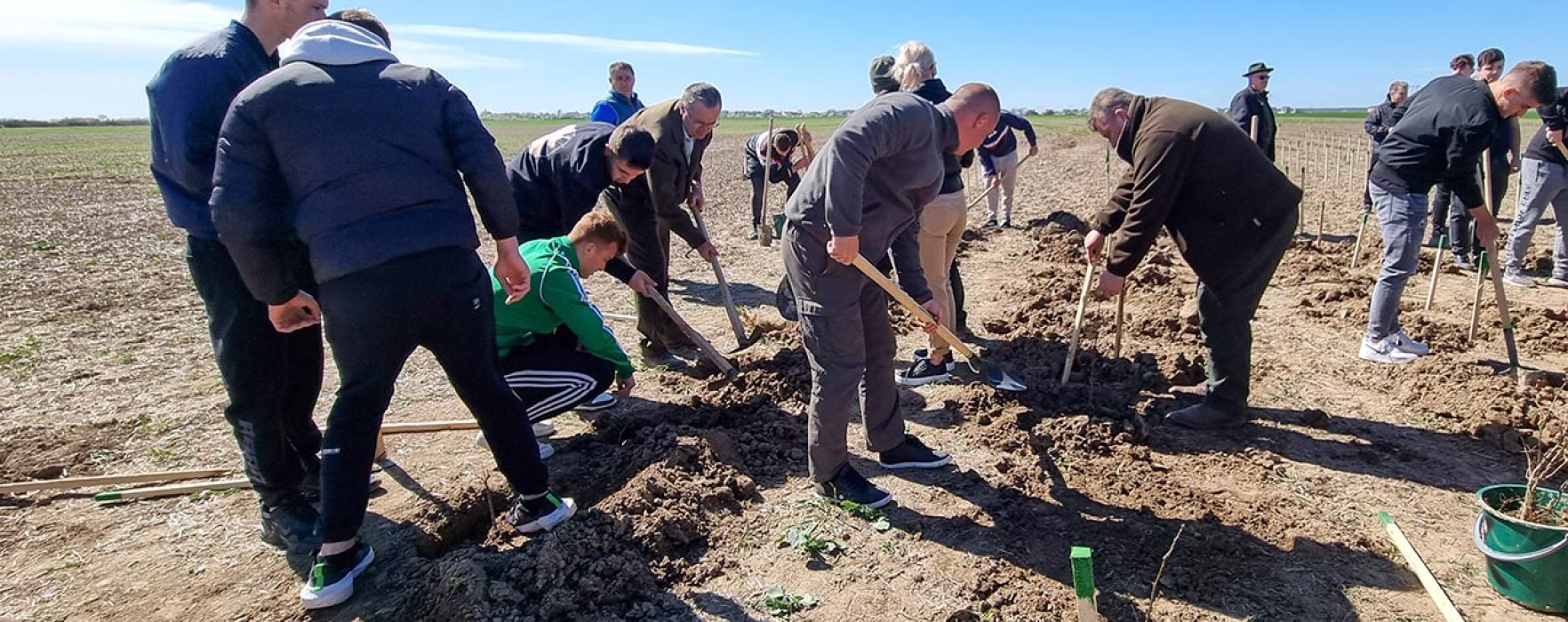 Dâmboviţa: Luna Plantării Arborilor – acţiune de plantare, o câmpie unde se cultiva grâu se va transforma în pădure