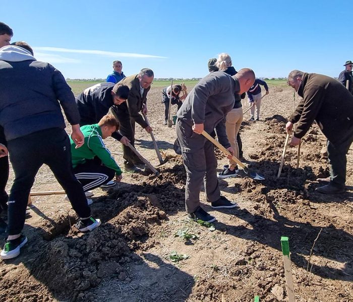 Dâmboviţa: Luna Plantării Arborilor – acţiune de plantare, o câmpie unde se cultiva grâu se va transforma în pădure