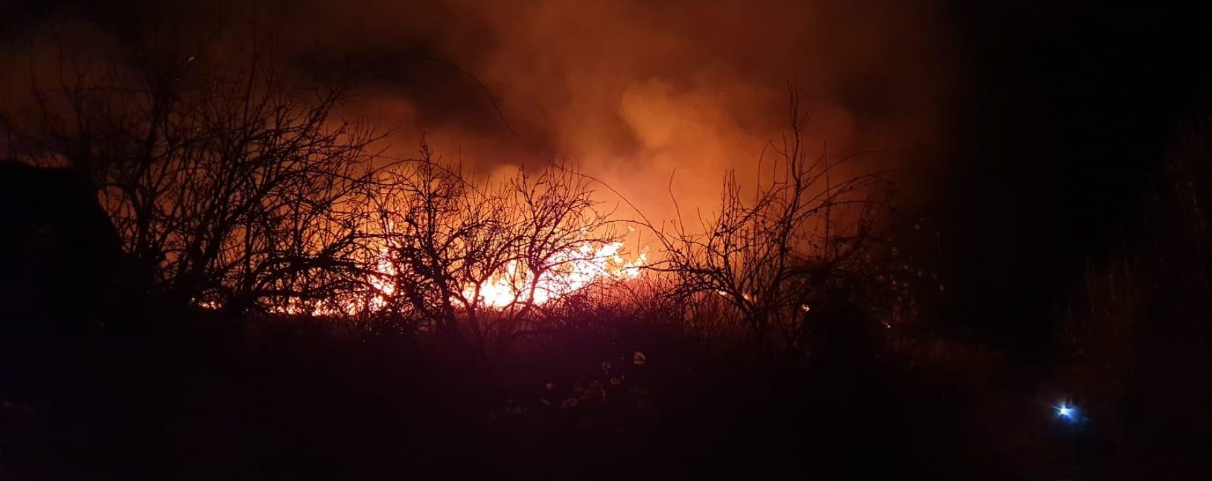 Dâmboviţa: Incendiu de vegetaţie uscată pe 10 hectare în Aninoasa