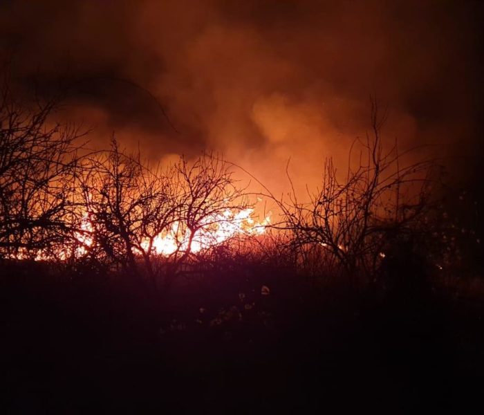 Dâmboviţa: Incendiu de vegetaţie uscată pe 10 hectare în Aninoasa