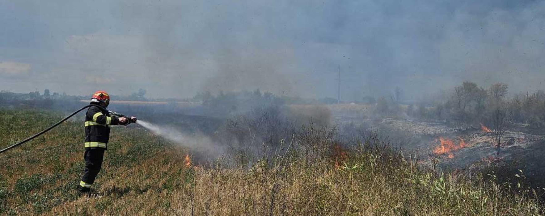 Dâmboviţa: Trei hectare de culturi agricole au ars într-un incendiu, la Voia