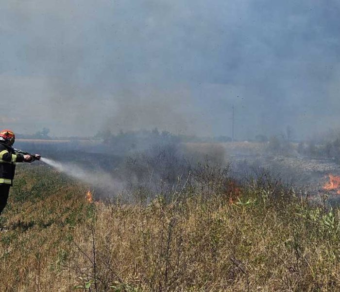 Dâmboviţa: Trei hectare de culturi agricole au ars într-un incendiu, la Voia