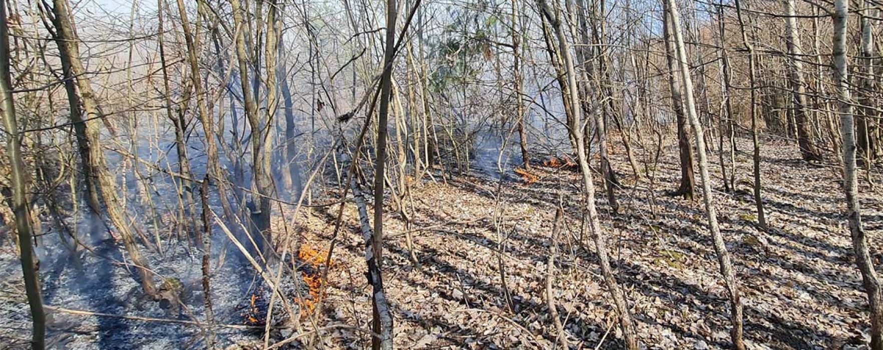 Dâmboviţa: Incendiu de vegetaţie uscată la Raciu pe 4 hectare, focul riscă să pătrundă în pădure