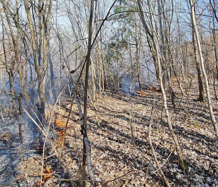 Dâmboviţa: Incendiu de vegetaţie uscată la Raciu pe 4 hectare, focul riscă să pătrundă în pădure