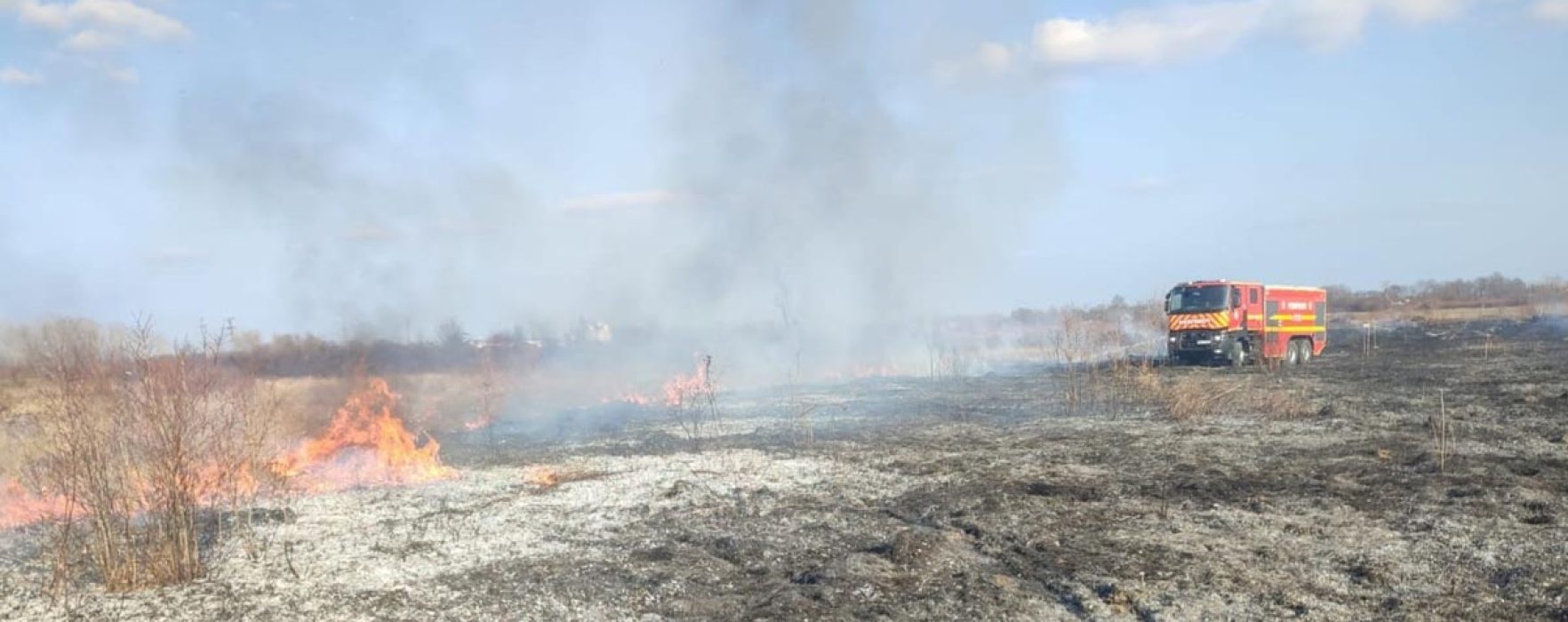 Dâmboviţa: incendiu de vegetaţie uscată în Braniştea