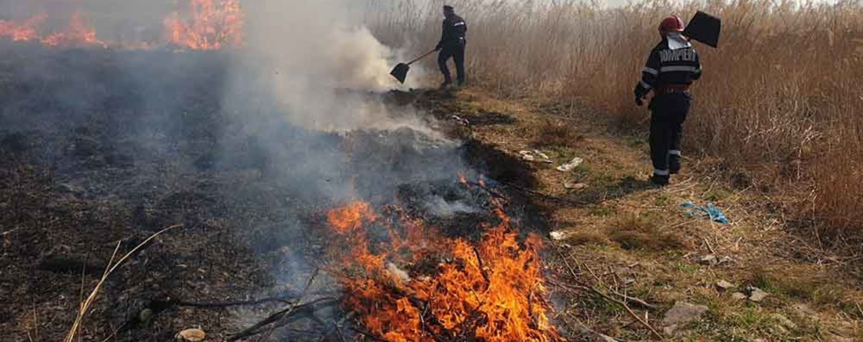 Dâmboviţa: Peste 40 de incendii de vegetaţie uscată, pompierii fac un apel să nu se mai ardă resturile vegetale