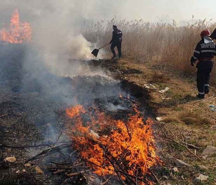 Dâmboviţa: Incendiu la o cultură de orz, focul a cuprins circa trei hectare