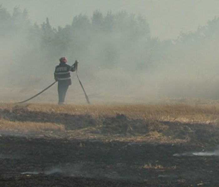 Incediu de vegetaţie uscată în zona A1, vizibilitate redusă pe autostradă în zona Petreşti