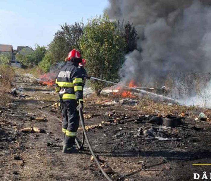 Dâmboviţa: Incendiu de vegetaţie uscată şi deşeuri la Bălteni