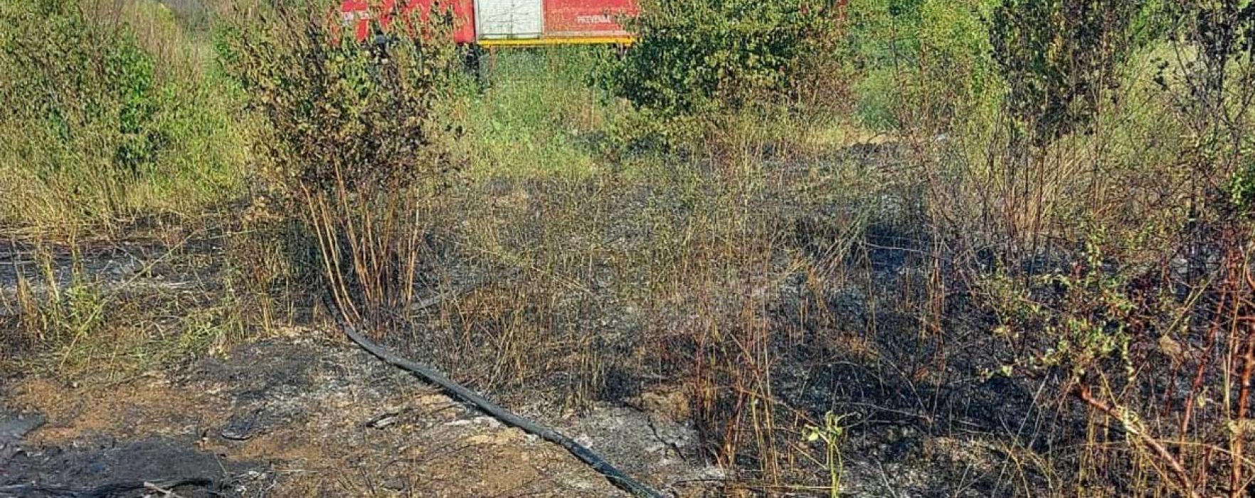 Dâmboviţa: O persoană surprinsă de un incendiu de vegetaţie uscată în Răzvad a murit