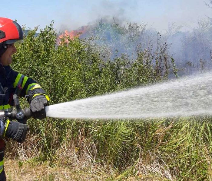 Dâmboviţa: Incendiu de vegetaţie uscată pe 15 hectare în Doiceşti