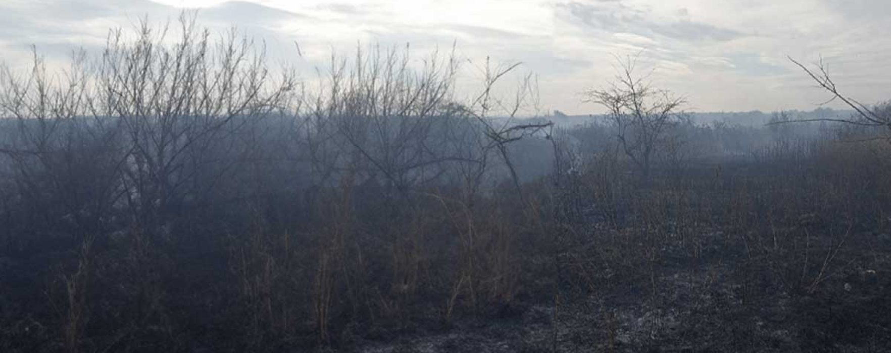 Dâmboviţa: Incendiu de vegetaţie uscată şi deşeuri menajere la Voia pe o suprafaţă de 3 hectare