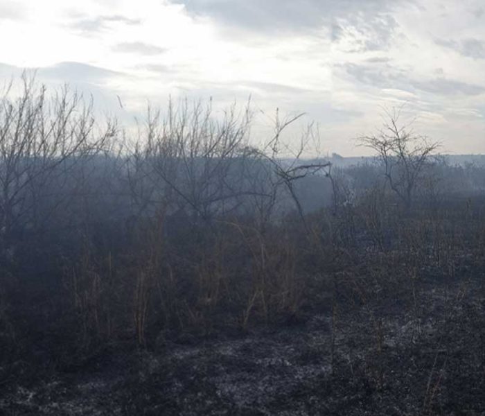 Dâmboviţa: Incendiu de vegetaţie uscată şi deşeuri menajere la Voia pe o suprafaţă de 3 hectare