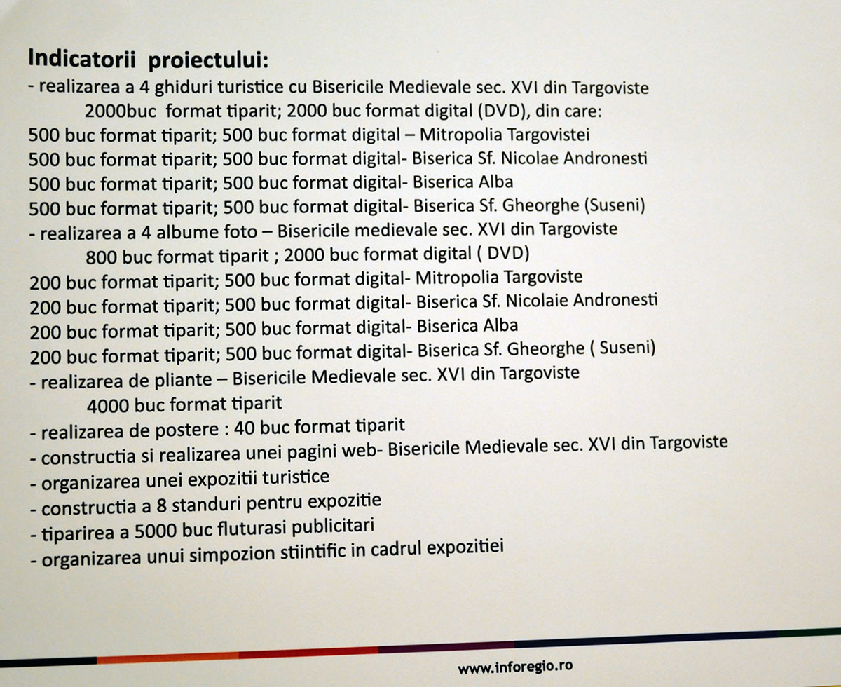 indicatori-proiect