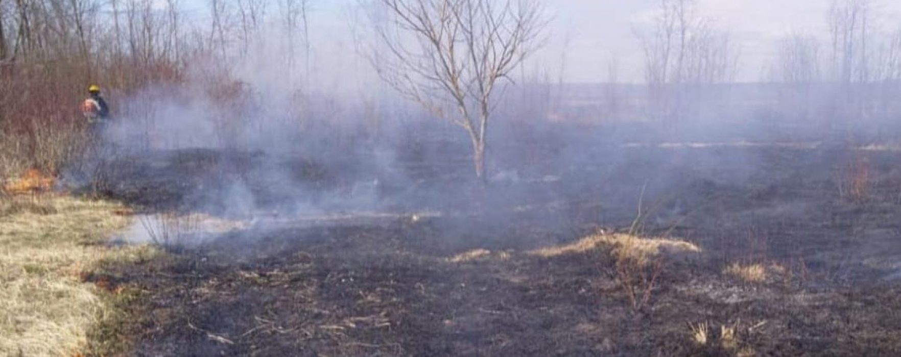 Dâmboviţa: Aproximativ 100 de hectare de teren de vegetaţie uscată, afectate de un incendiu între Perşinari şi Raciu