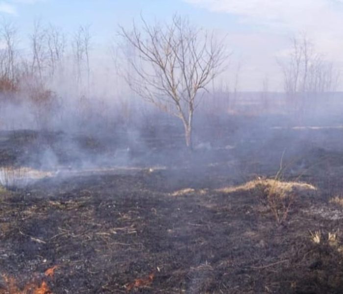 Dâmboviţa: Aproximativ 100 de hectare de teren de vegetaţie uscată, afectate de un incendiu între Perşinari şi Raciu