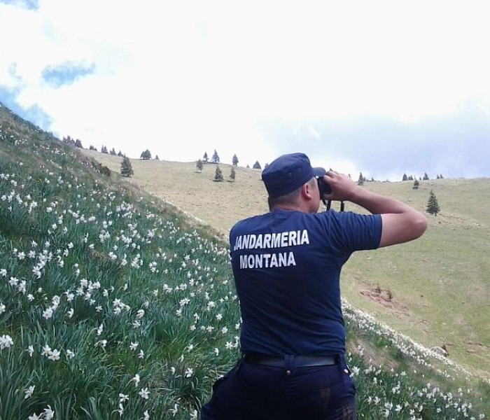 Turişti rătăciţi în Munţii Bucegi, găsiţi de jandarmii montani