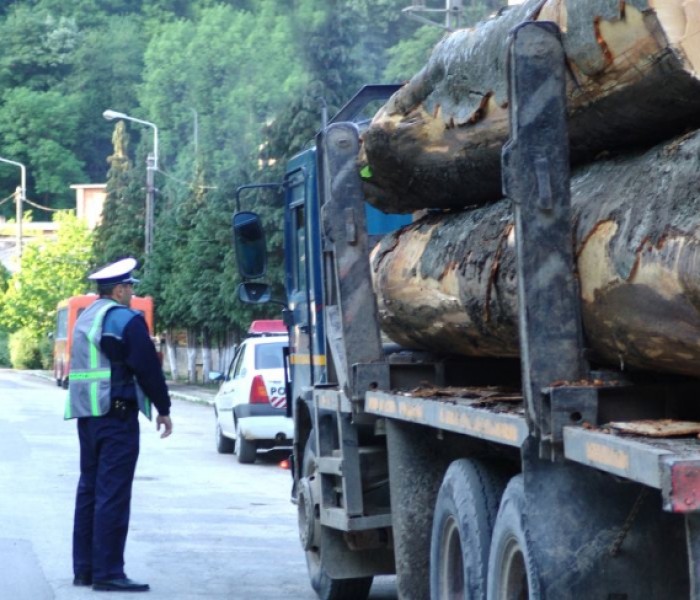 Dâmboviţa: Controale în trafic pentru depistarea hoţilor de lemne