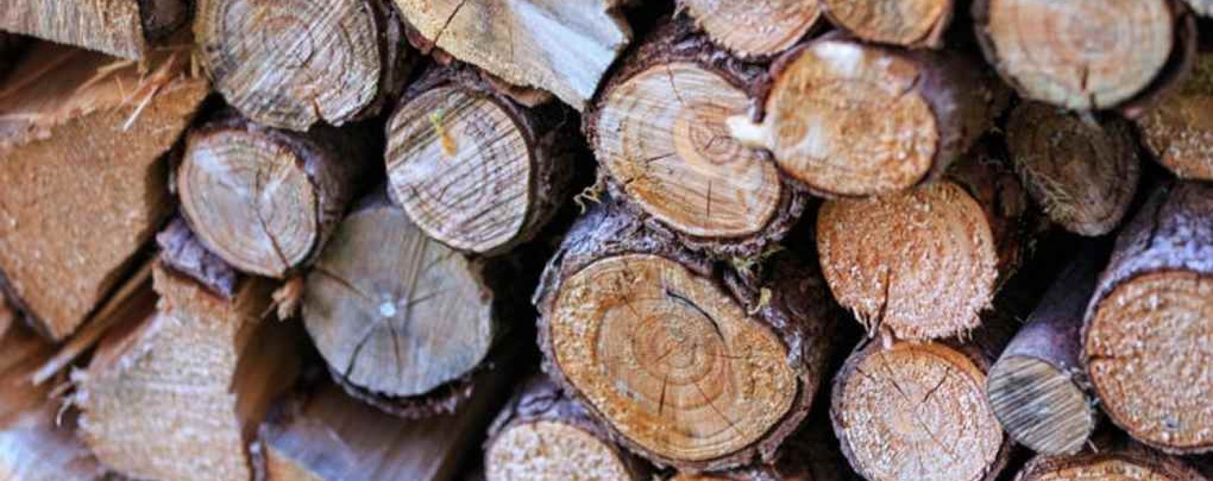 Dâmboviţa: Lemne de foc, dar şi alte produse oferite de Romsilva – oferă şi transport
