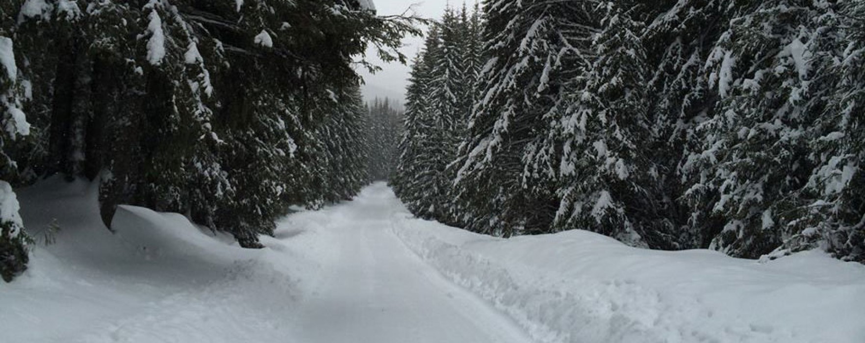 Accesul în zona Padina-Peştera după ora 17.00 numai cu jandarmii montani