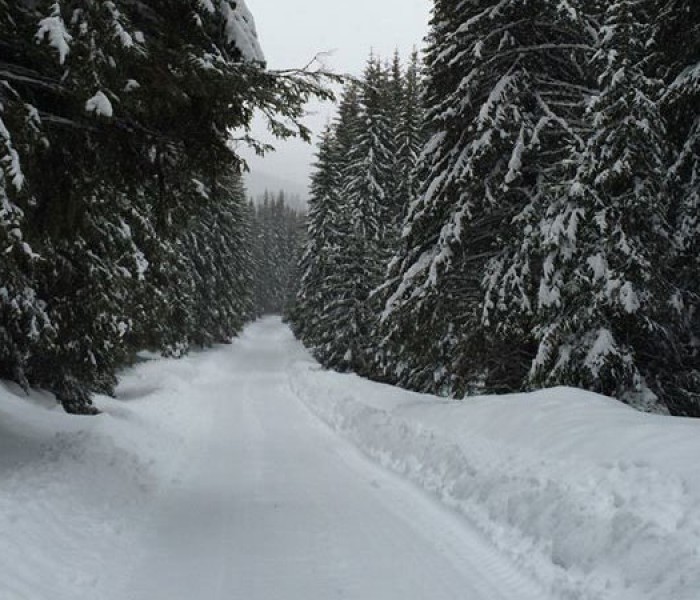 Accesul în zona Padina-Peştera după ora 17.00 numai cu jandarmii montani