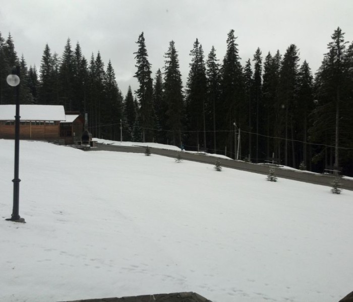 Ninge în zona montană a judeţului Dâmboviţa