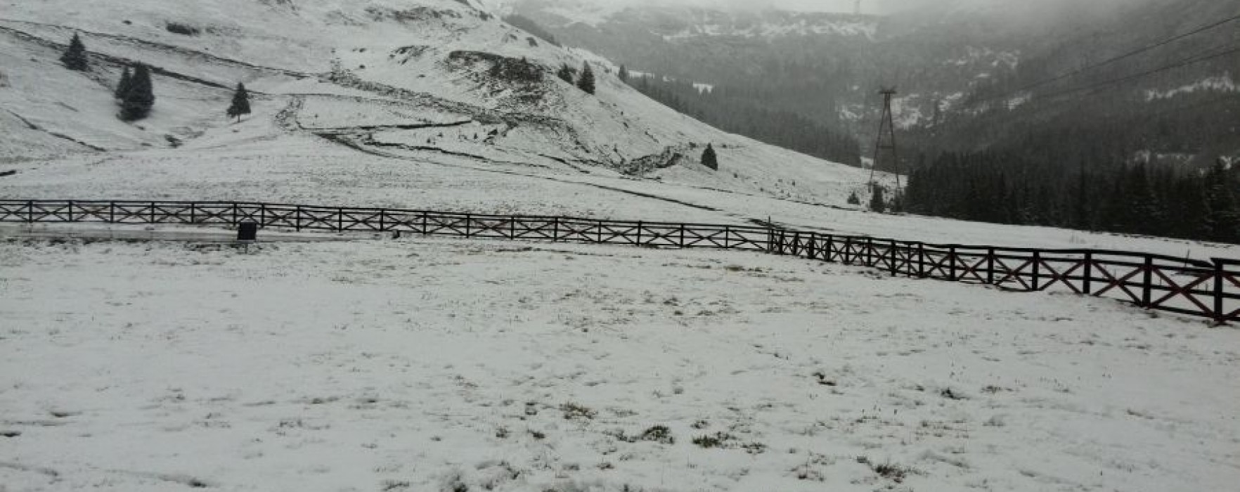 Cod Galben de ninsori în zona montană a judeţului Dâmboviţa