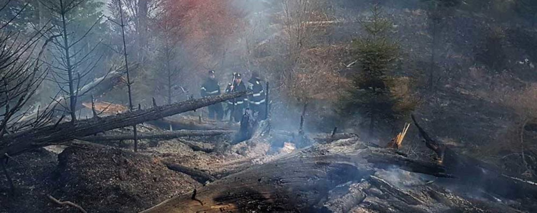 Dâmboviţa: Incendiu într-o pădure din zona Moroieni, pompierii au mers pe jos o oră până la locul incendiului