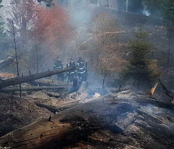 Dâmboviţa: Cauza probabilă a incendiului din pădurea de la Moroieni, focul deschis