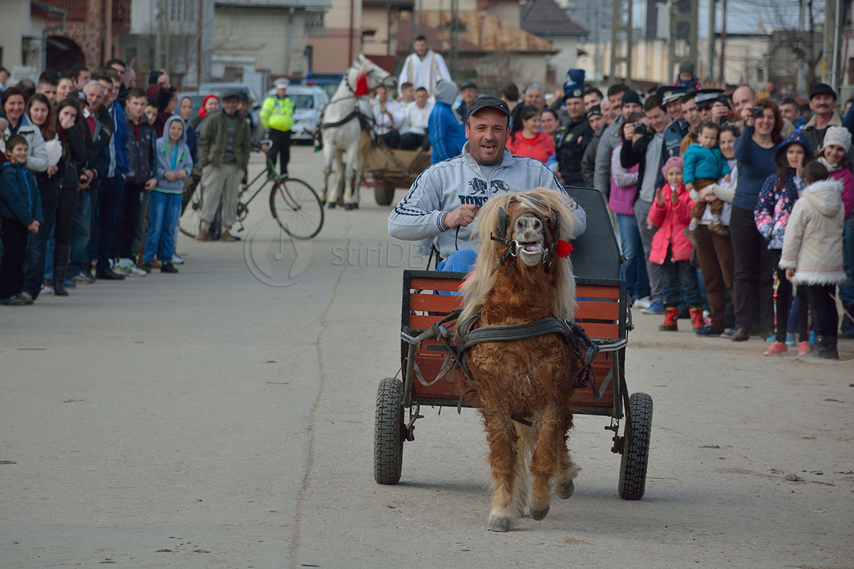 pastele cailor 2015 06