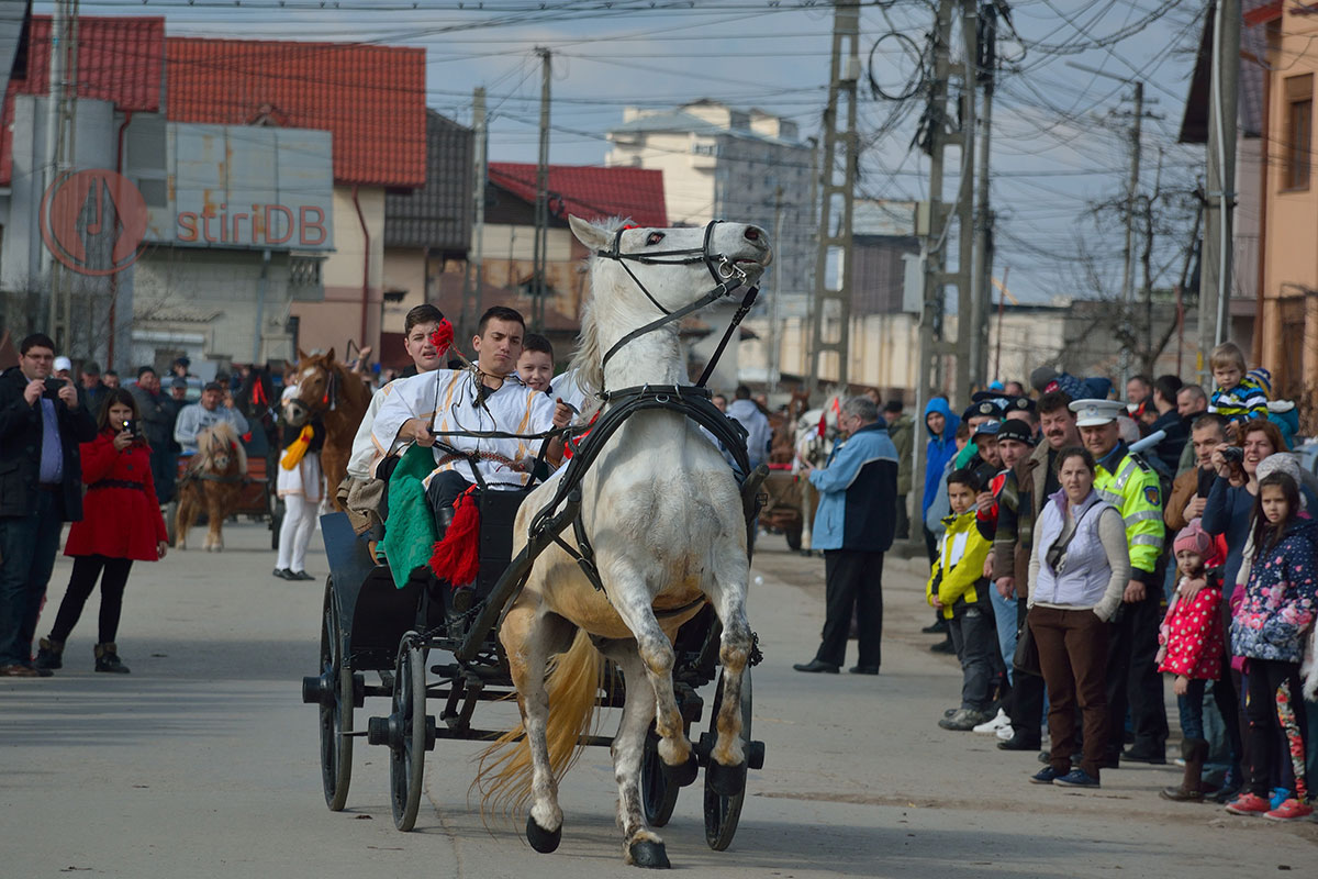 pastele cailor 2015 09