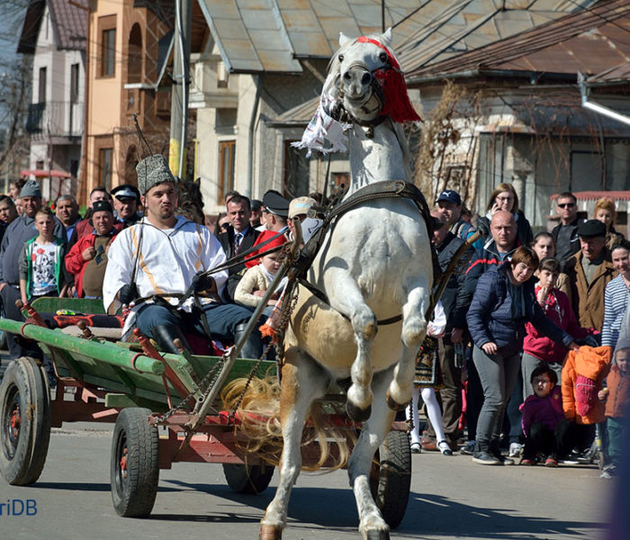 Paştele Cailor, sărbătorit în comunitatea bulgară din Târgovişte