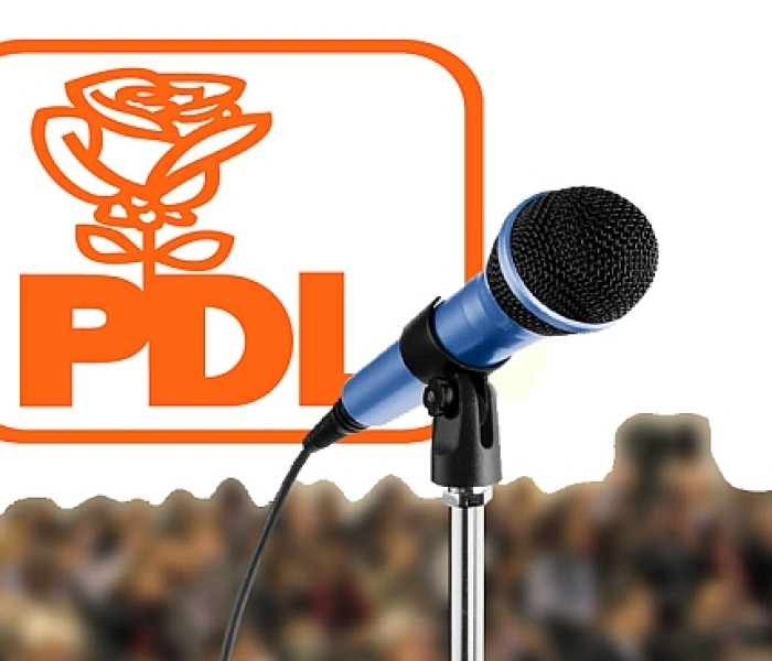 Iulian Vladu, singurul candidat la preşedinţia PDL Dâmboviţa