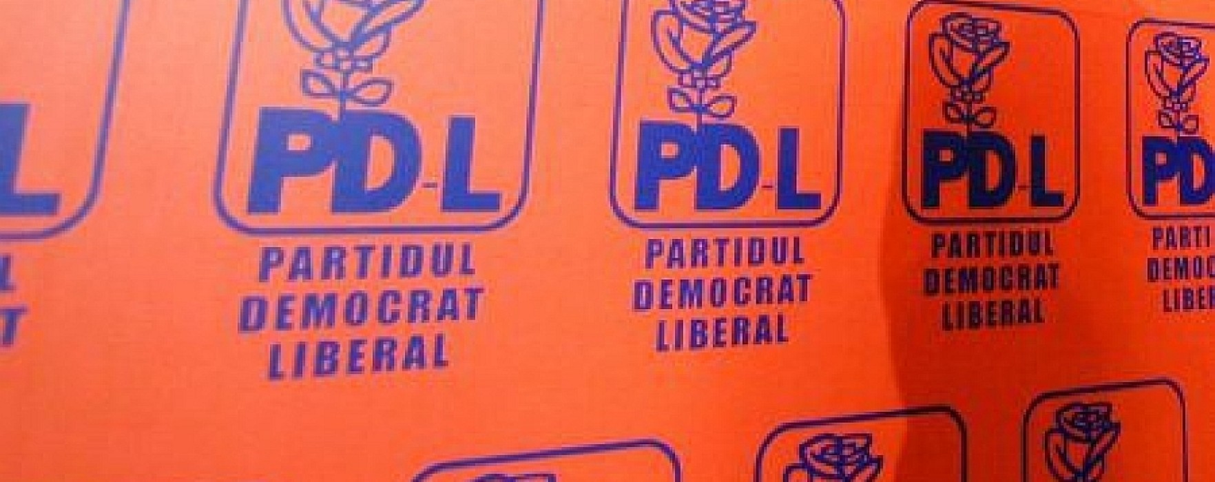 Aproximativ 40 de consilieri locali PDL din Dâmboviţa, propuşi pentru excludere din partid