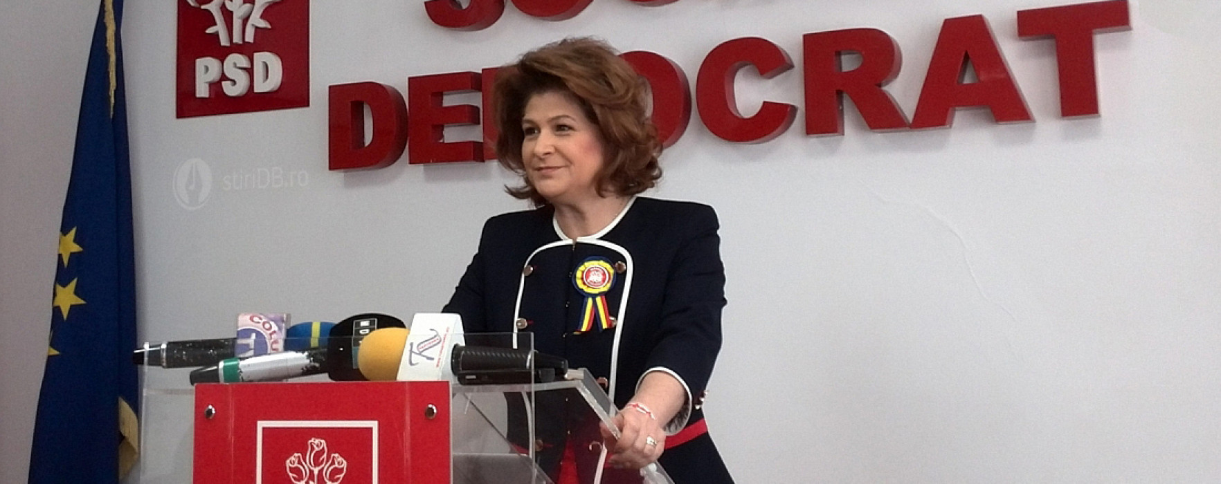 Rovana Plumb, aleasă președinte al Consiliului Național al PSD