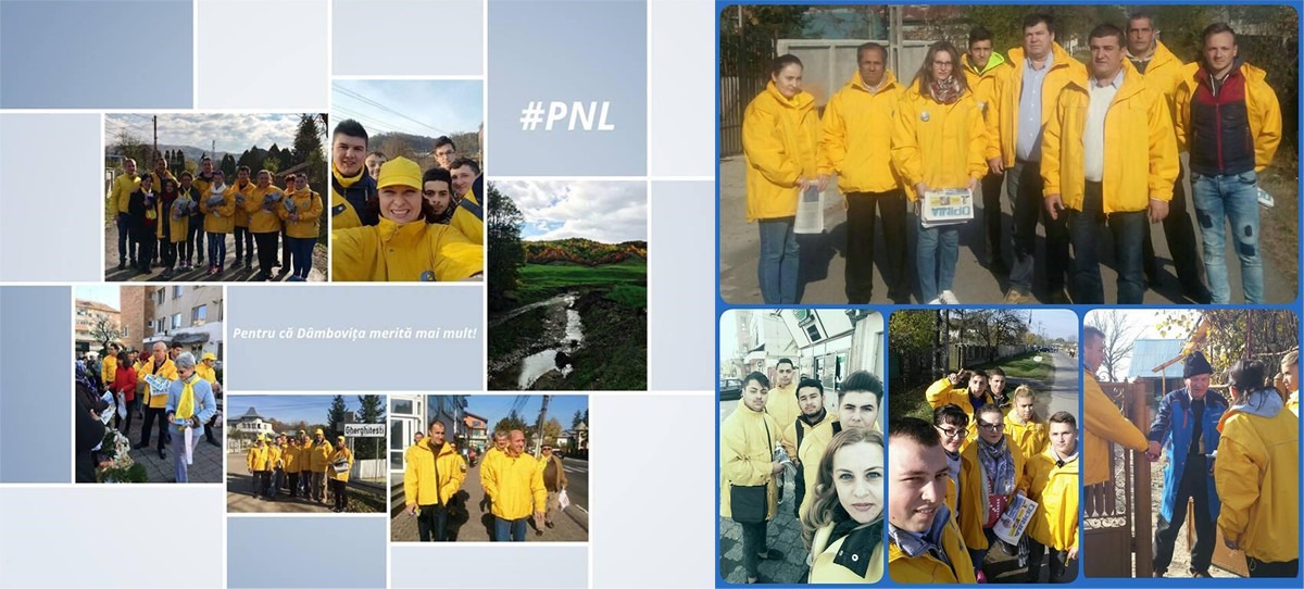 pnl-electoral-actiuni