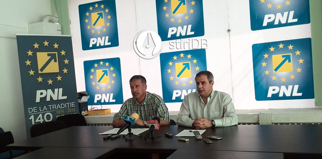 pnl-plaiasu-davidescu