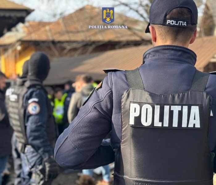 Dâmboviţa: Reţinut de poliţişti după ce a lovit cu o bâtă un alt bărbat