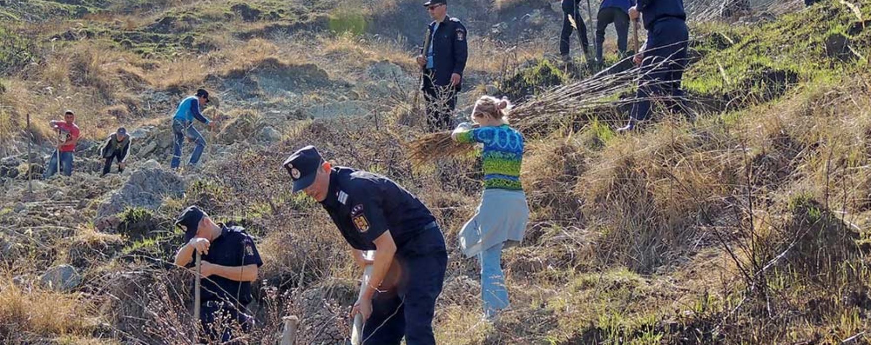 Dâmboviţa: Cadrele ISU au plantat sute de puieţi de salcâm într-o zonă afectată de alunecări de teren